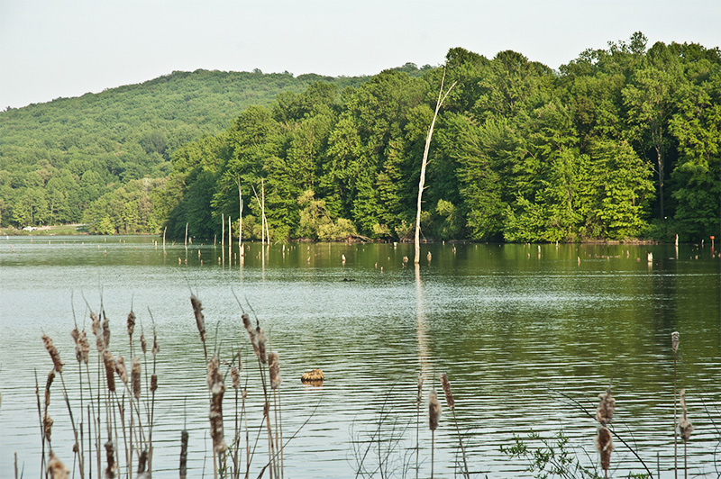 Middle Creek Wildlife pond with Indian like sticks sticking out of the water. This picture has it's natural colors.