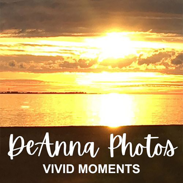 Logo of a bright golden sunset over the water with DeAnna Photos Vivid Moments.