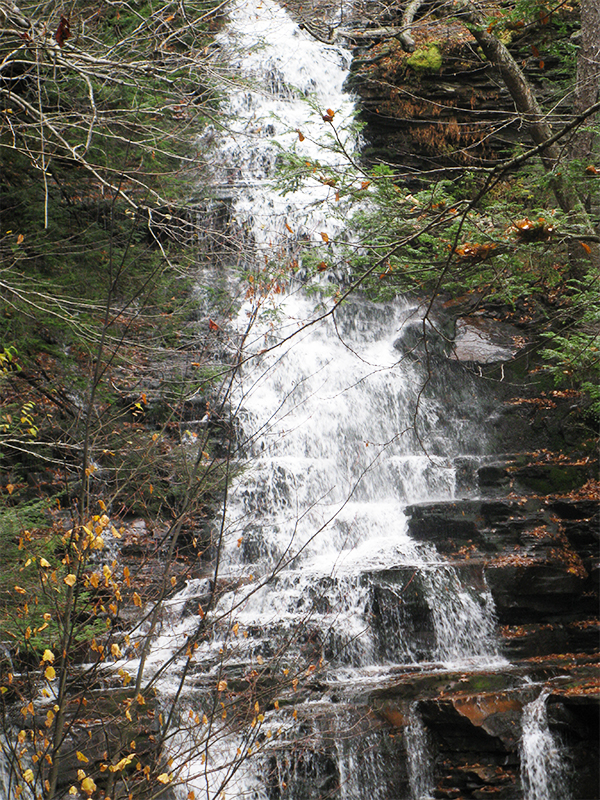 A tall waterfall at Ricketts Glen State Park, PA.